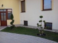 /album/fotogaleria-fotogaleria/fenykep0268-jpg/